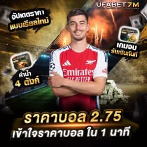 ราคาบอล 2.75 คืออะไร ก่อนวางเดิมพัน